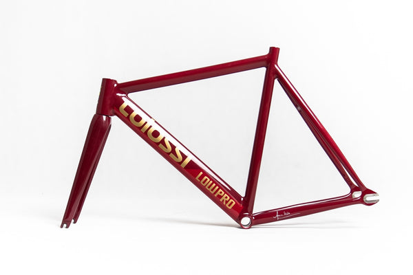 COLOSSI Low Pro ab 890. Lowenzahn Bikes