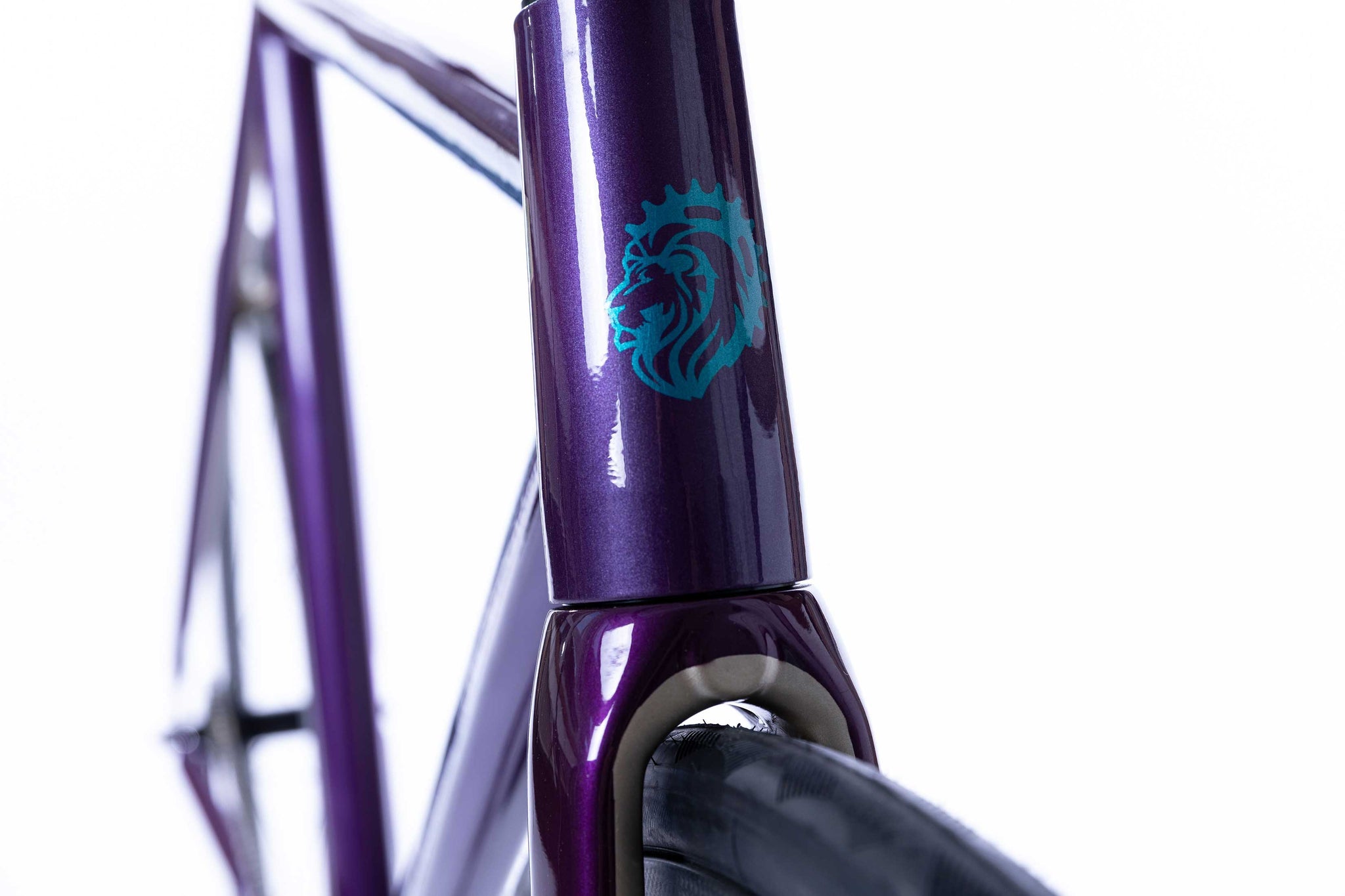 Dandelion Custom - BS01 Alu Bike