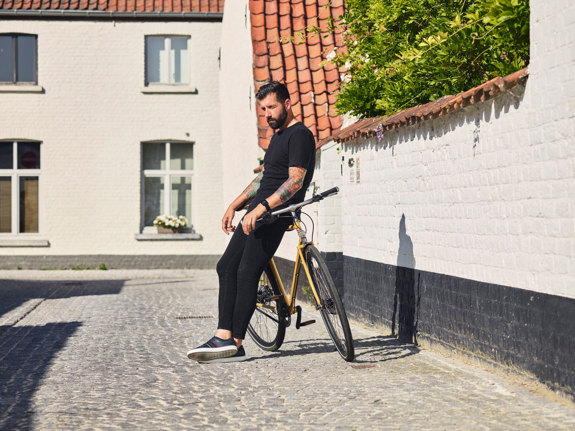 Achielle - Oscar in various colors from 1950.-