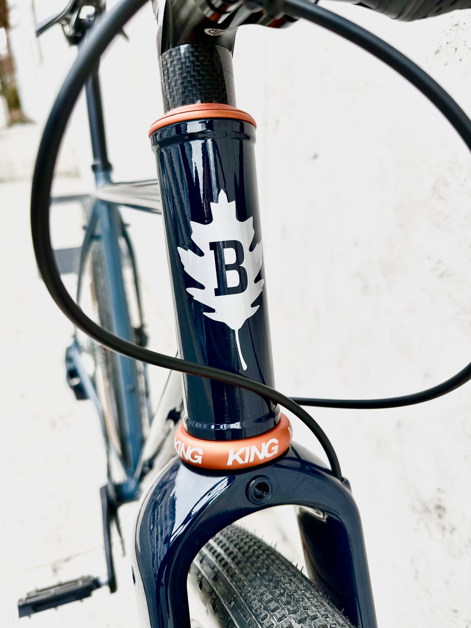 Löwenzahn Custom - Brother Meteh Custom Gravel Bike