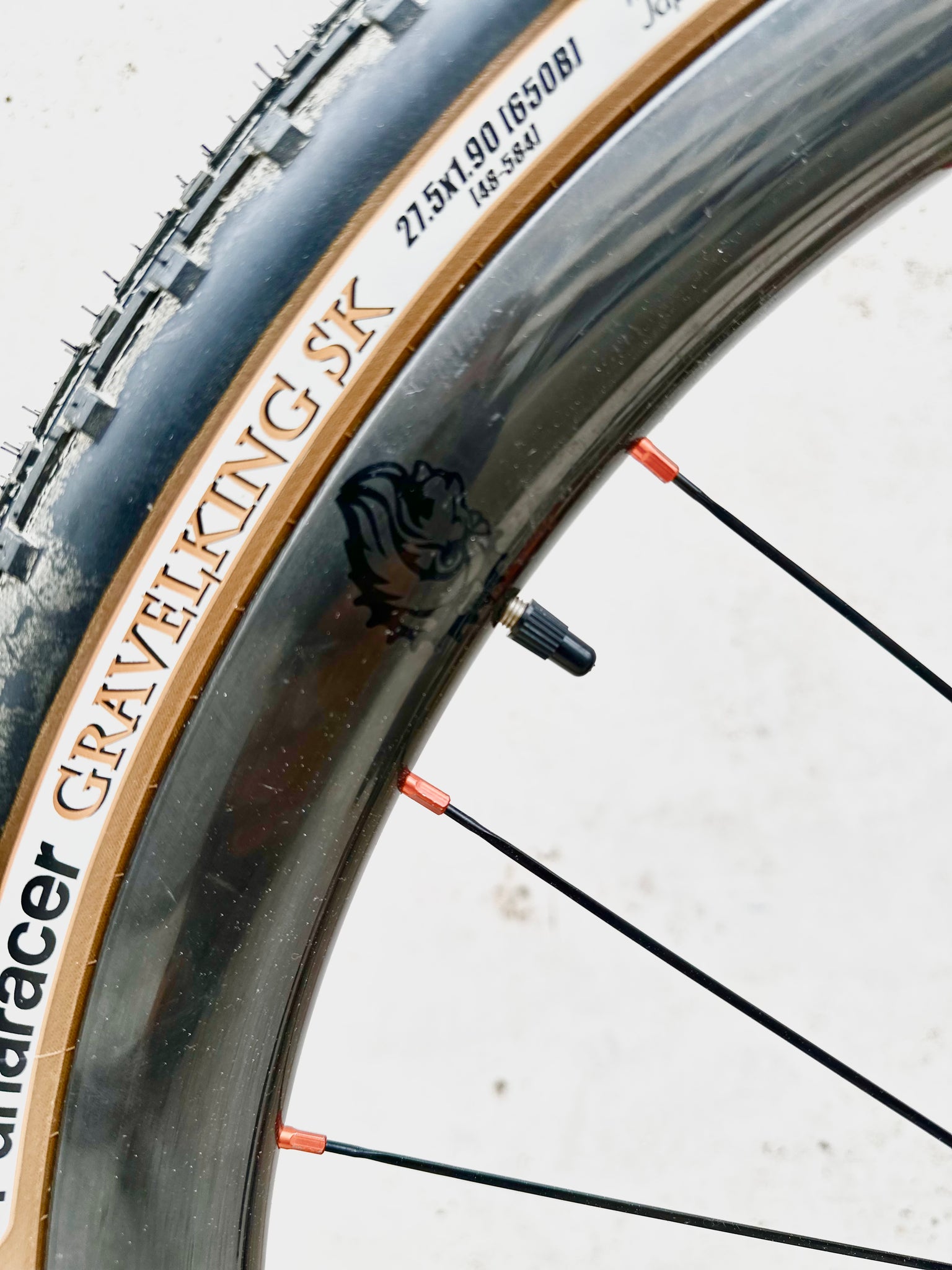 Löwenzahn Custom - Brother Meteh Custom Gravel Bike