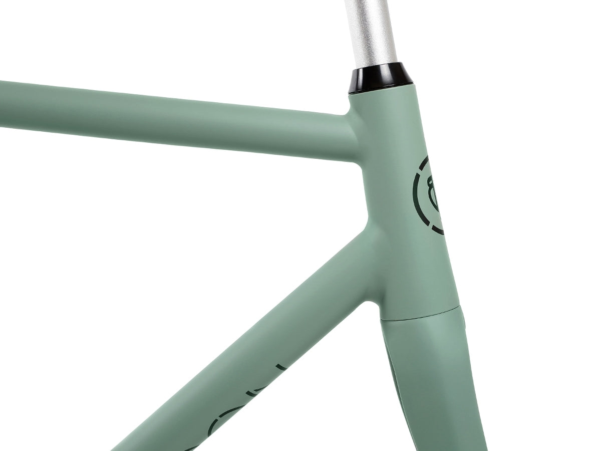 BLB - VIPER 4 Colors